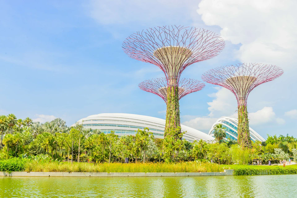 Gardens By The Bay